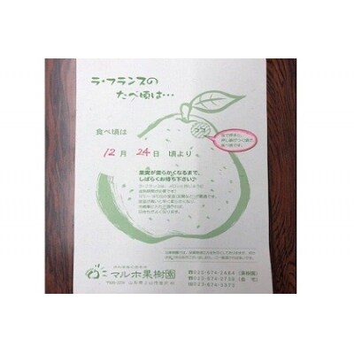 西洋梨(ラ・フランス)8kg ご家庭用 0078-104