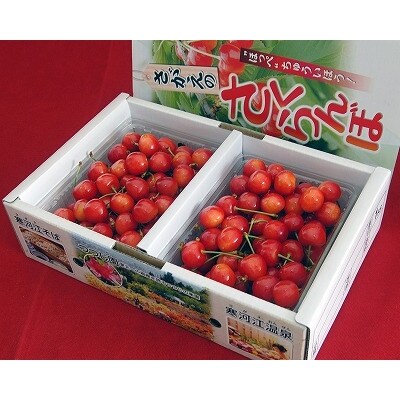 【数量限定】本場山形の寒河江産さくらんぼ1kg(佐藤錦・秀・L) 010-A08