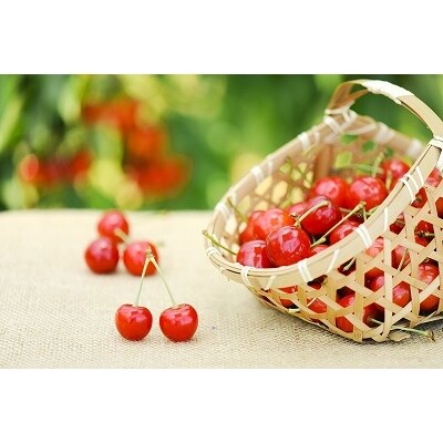 さくらんぼ(紅秀峰・秀)L~2L玉 500g 010-A03