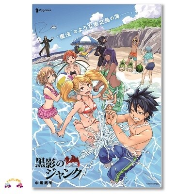 【黒影のジャンク①~③巻】&徳之島町ふるさと納税限定「直筆サイン入り描き下ろしポスター」