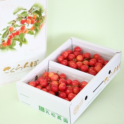 さくらんぼ (佐藤錦・秀品・Lサイズ) 1kg 015-A05