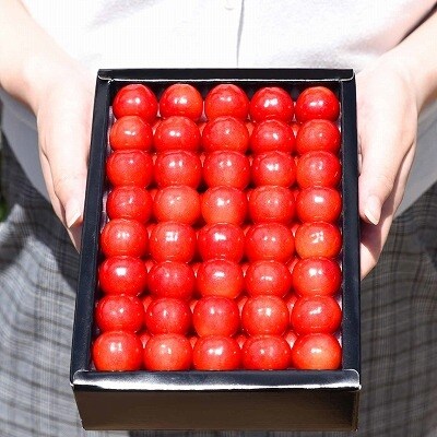 化粧詰 「特秀」さくらんぼ (佐藤錦) 500g 020-A04