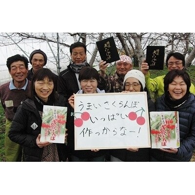 化粧詰 「特秀」さくらんぼ (佐藤錦) 500g 020-A04