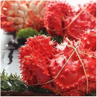 【北海道根室産】花咲ガニ300～400g&times;4尾 SA-19001
