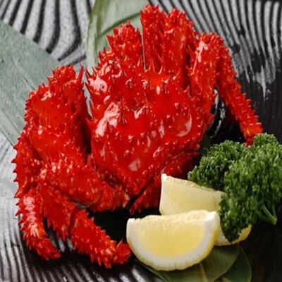 【北海道根室産】花咲ガニ2尾(計600g以上) SA-32001