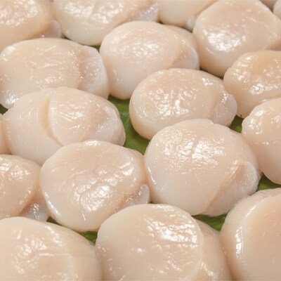 【数量限定】新鮮!!紋別産ホタテ玉冷1㎏