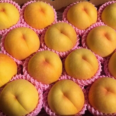 これぞ贅沢! 白桃と黄桃の食べ比べセット たっぷり5kg 秀品 (13~18玉) 020-B06