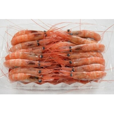 甘エビ(冷凍2.1kg)中盛 B-10