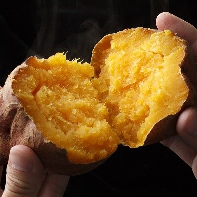 旬の味覚をゴージャスに♪南九州トクトク定期便