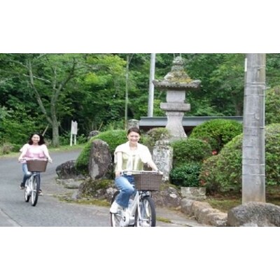 電動アシスト自転車ペア1日利用券