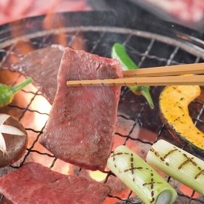 毎月29日お届け!わくわくミート倶楽部定期便