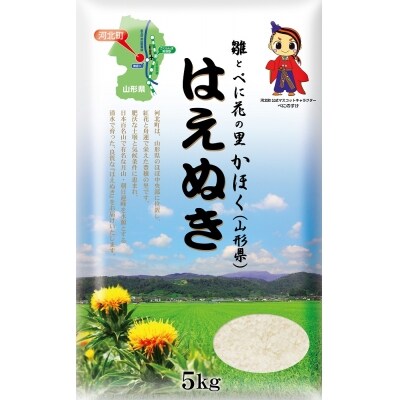 【平成30年12月発送分】 平成30年山形県河北町産『はえぬき』15kg【JAさがえ西村山】