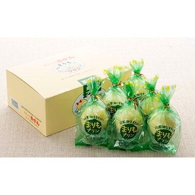 阿寒湖銘菓まりもプリン6個入と養殖まりもセット グリーン Ta501 A134 お礼品詳細 ふるさと納税なら さとふる 阿寒湖銘菓まりもプリン6個入と養殖まりもセット グリーン Ta501 A134 お礼品詳細 ふるさと納税なら さとふる