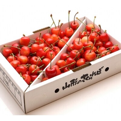 さくらんぼ(佐藤錦)1kg M・Lサイズ 0103-205