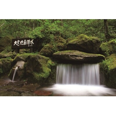 【平成30年度産】北海道産ゆめぴりか 毎月40kgお届け12ヶ月定期コース