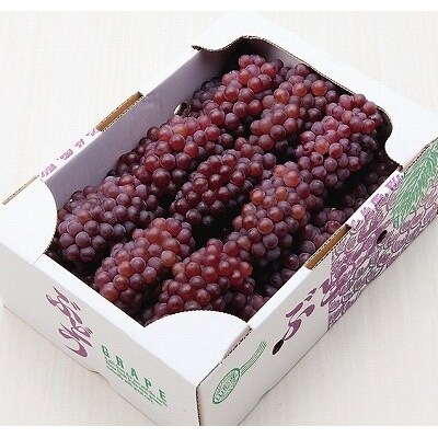 甘さたっぷり♪ 種なしぶどう“デラウェア” 秀品 2kg (10~16房) 010-B14