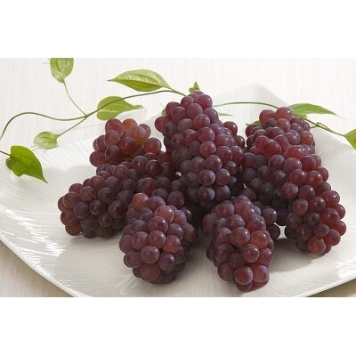 甘さたっぷり♪ 種なしぶどう“デラウェア” 秀品 2kg (10~16房) 010-B14