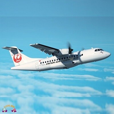 片道航空券(徳之島空港⇔那覇空港)