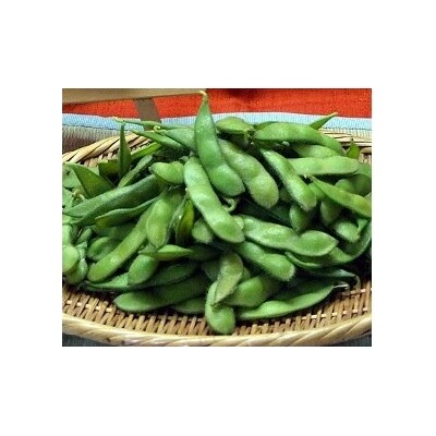 山形県河北町産秘伝豆3kg(12袋) A-00819