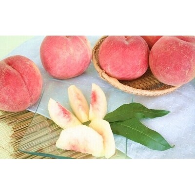 山形の白桃 硬い桃 3kg 品種おまかせ 8 14玉 秀品 010 B40 お礼品詳細 ふるさと納税なら さとふる