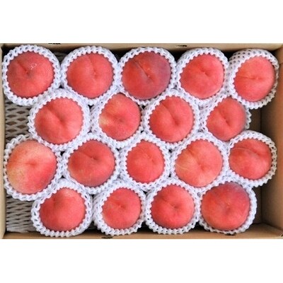 たっぷり5kg 山形の白桃 硬い桃 品種おまかせ 13 玉 秀品 015 B23 お礼品詳細 ふるさと納税なら さとふる