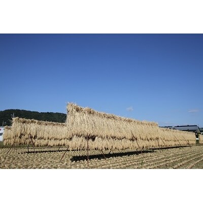【2019年産新米】限定栽培『はさがけ』北海道産ゆめぴりか5kg3ヶ月連続お届け!