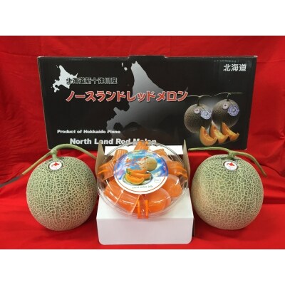 農産物年間定期便(全6回)