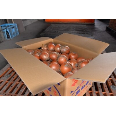 農産物年間定期便(全6回)