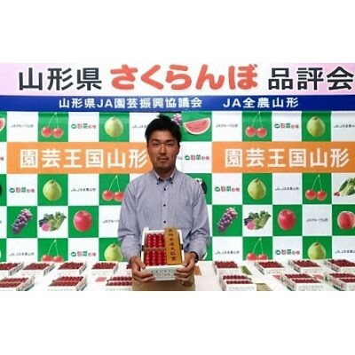 大粒2Lサイズ以上! 山形県最優秀賞受賞園地のさくらんぼ 「紅秀峰」 600g 015-A17