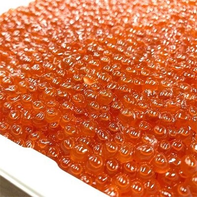 限定品!鱒いくら醤油漬500g