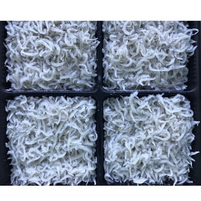 【篠島産】生炊きちりめん山椒・しらす干しセット 計1kg