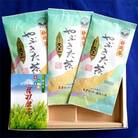 ふるさと藤枝　煎茶「天下一」 100g×3袋セット