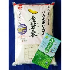 【2022年8月中旬発送】静岡県産「金芽米5kg(無洗米)」・「JAおおいがわのお茶80g」セット