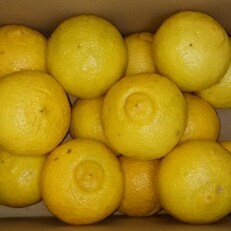 はるか　3kg