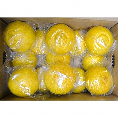 はるか みかん　3kg