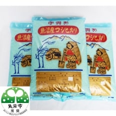 令和4年産　真砂屋厳選魚沼産コシヒカリ精米　15kg