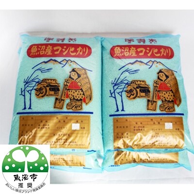 「2021年6月上旬発送」【令和2年産】真砂屋　魚沼産コシヒカリ　20kg