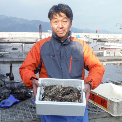 天橋立 天然殻付きマガキ2kg(約20～25個)【加熱用】