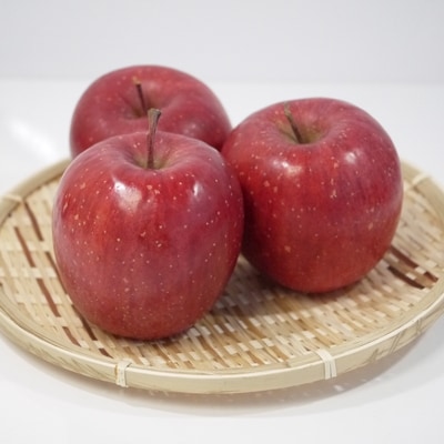 【2025年1月発送開始】青森りんご　サンふじ　中玉　5kg【さとふる限定】