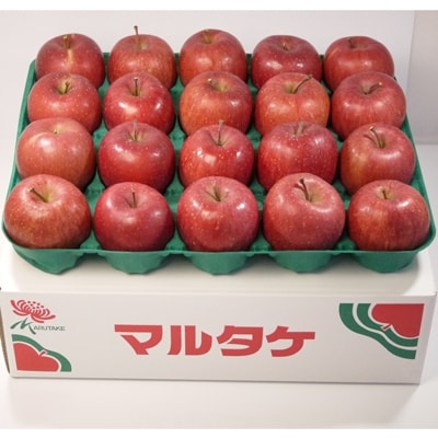 【2025年1月発送開始】青森りんご　サンふじ　中玉　5kg【さとふる限定】