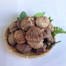 厳選!こだわりの原木栽培のどんこ椎茸　300g