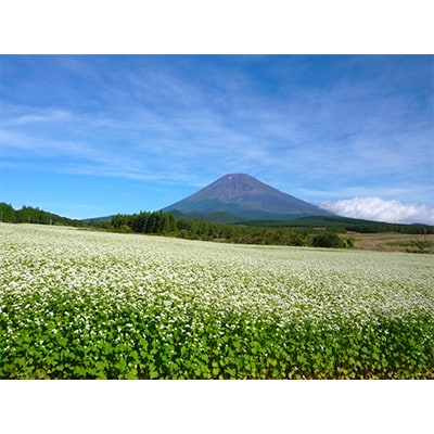 あしたか山麓裾野そば(冷凍五割そば)120g×10食分