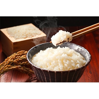 するがの極(5kg)