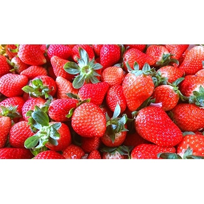 長崎県産　秀品いちご(ゆめのか)1Kg