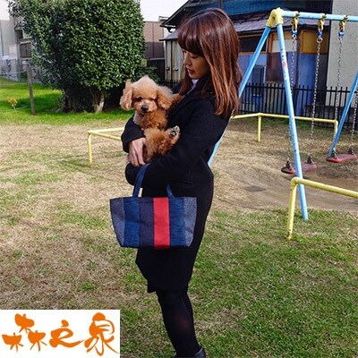 森之泉 畳へりお出かけバッグ(デニム)消臭抗菌ビーズ入り