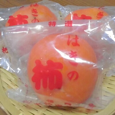 【杷木の柿】富有柿(冷蔵柿)14玉入※約3kg