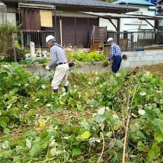 生い茂ったお庭の雑草をすっきりさせる、除草サービス(1回分)【作業場所:つくばみらい市内限定】