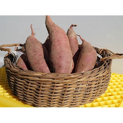 さつまいも 紅はるか混合サイズ 約0g 700g 計約5kg 生芋 お礼品詳細 ふるさと納税なら さとふる さつまいも 紅はるか混合サイズ 約0g 700g 計約5kg 生芋 お礼品詳細 ふるさと納税なら さとふる