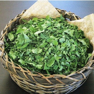 モリンガ茶〈2パック〉セット(熊本県天草産100%)