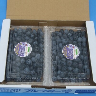 【産地直送】完熟フレッシュブルーベリー(生果) 400g×2パック